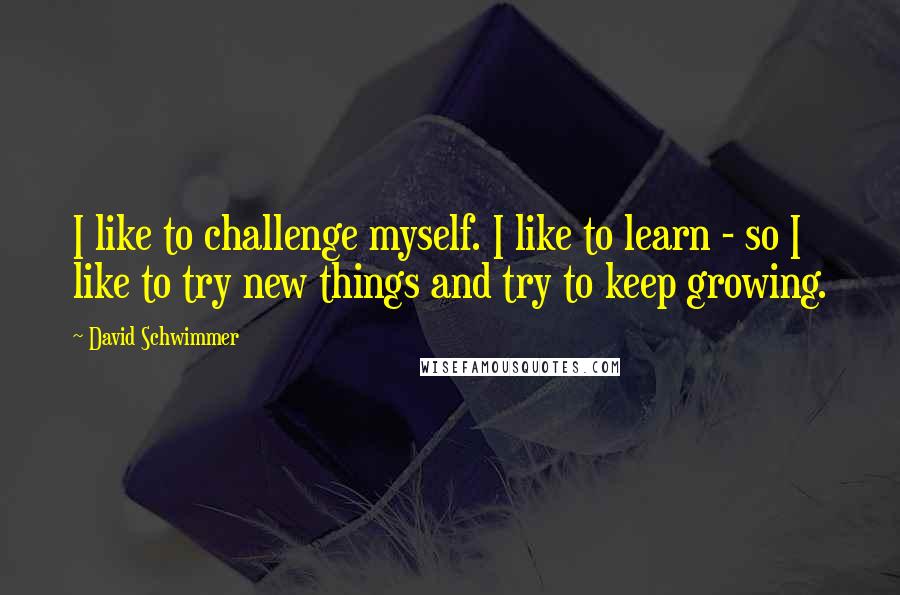 David Schwimmer Quotes: I like to challenge myself. I like to learn - so I like to try new things and try to keep growing.