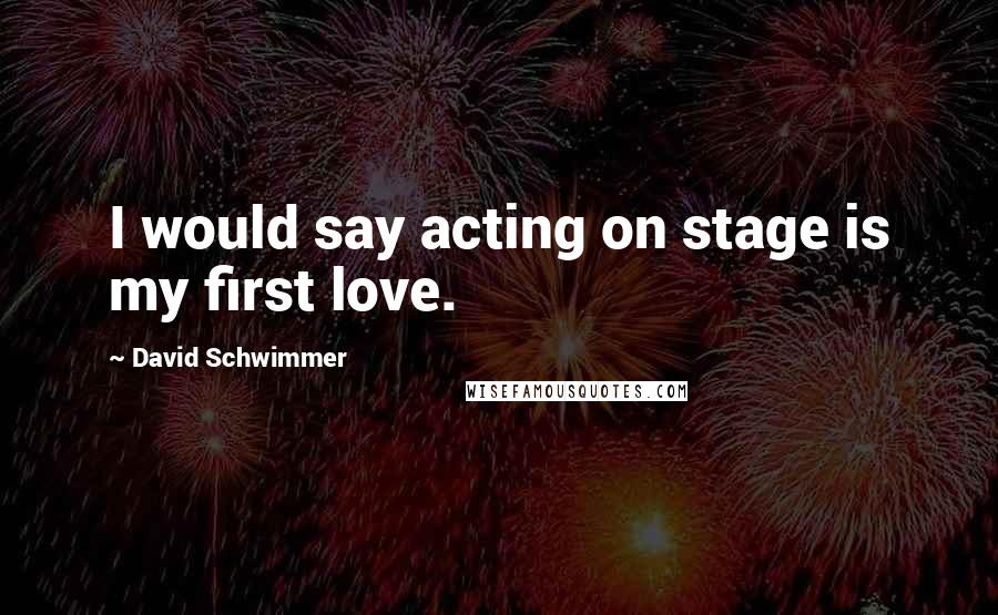 David Schwimmer Quotes: I would say acting on stage is my first love.