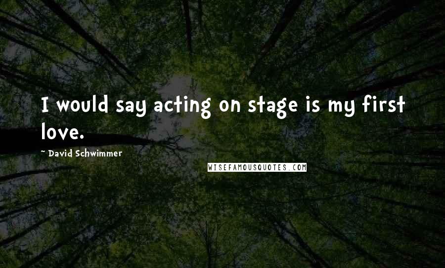 David Schwimmer Quotes: I would say acting on stage is my first love.
