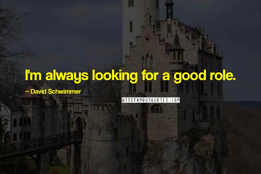 David Schwimmer Quotes: I'm always looking for a good role.