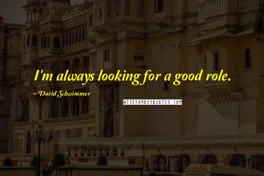 David Schwimmer Quotes: I'm always looking for a good role.