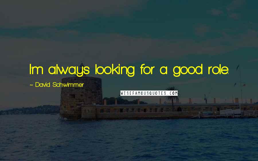 David Schwimmer Quotes: I'm always looking for a good role.