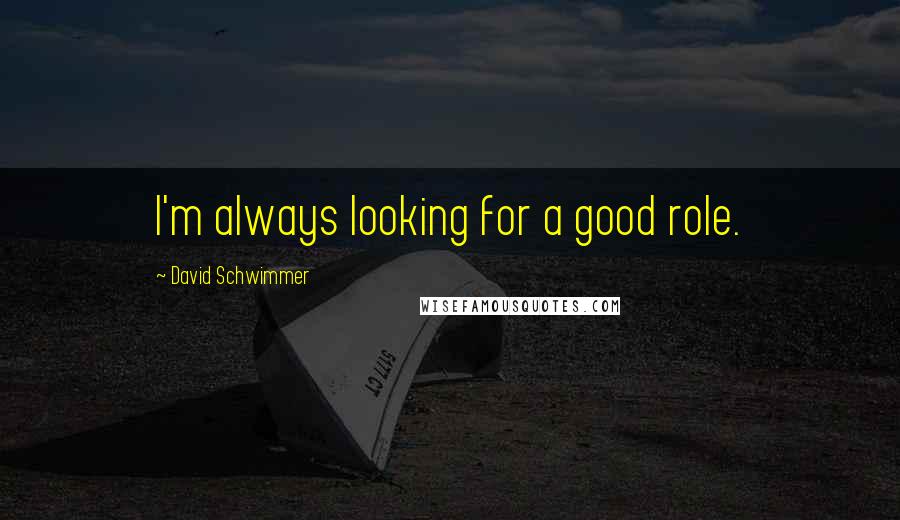 David Schwimmer Quotes: I'm always looking for a good role.