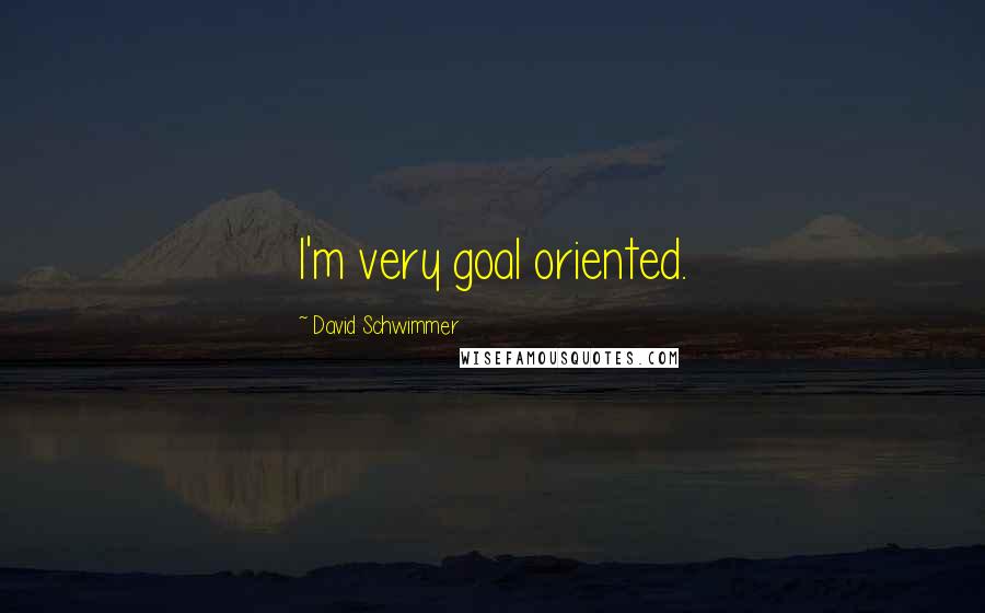 David Schwimmer Quotes: I'm very goal oriented.