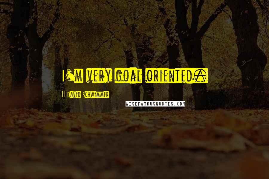 David Schwimmer Quotes: I'm very goal oriented.