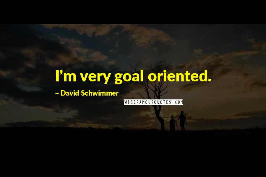 David Schwimmer Quotes: I'm very goal oriented.