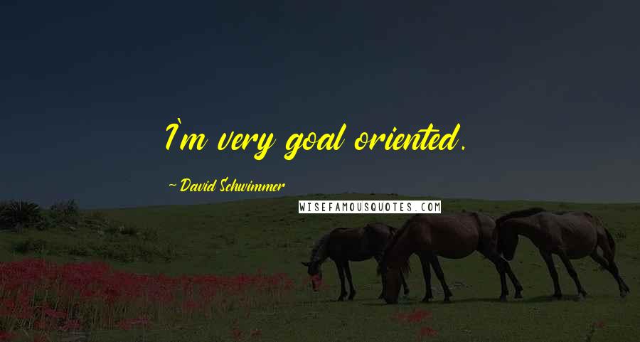 David Schwimmer Quotes: I'm very goal oriented.