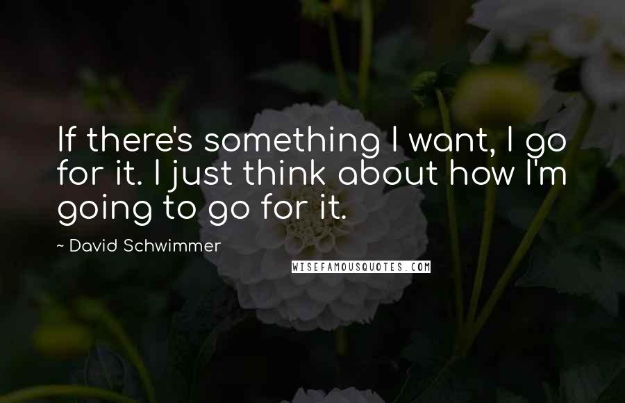 David Schwimmer Quotes: If there's something I want, I go for it. I just think about how I'm going to go for it.