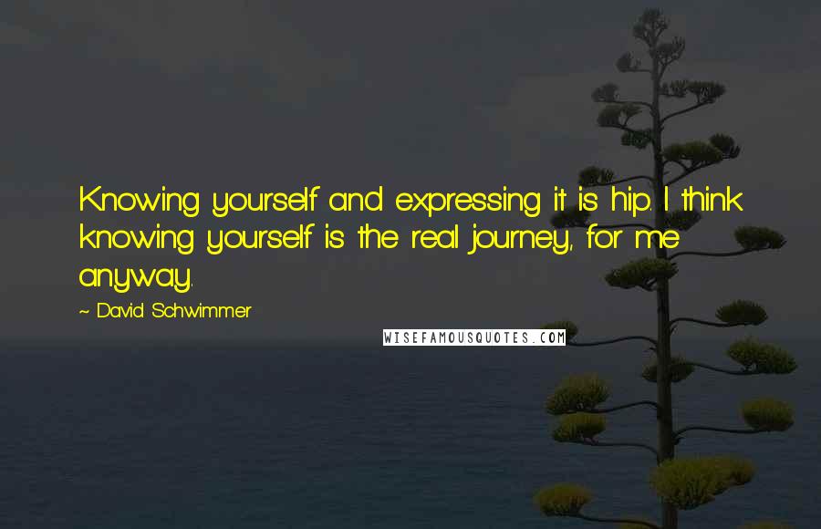 David Schwimmer Quotes: Knowing yourself and expressing it is hip. I think knowing yourself is the real journey, for me anyway.