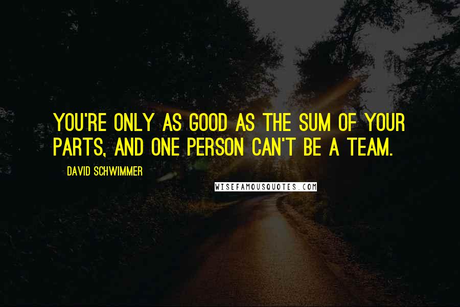 David Schwimmer Quotes: You're only as good as the sum of your parts, and one person can't be a team.
