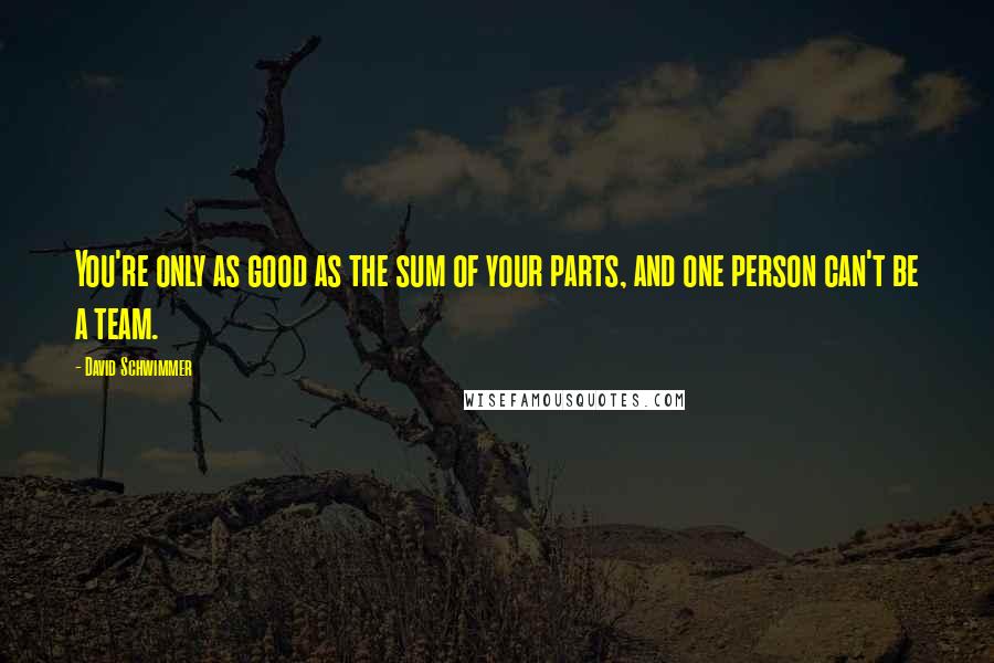 David Schwimmer Quotes: You're only as good as the sum of your parts, and one person can't be a team.
