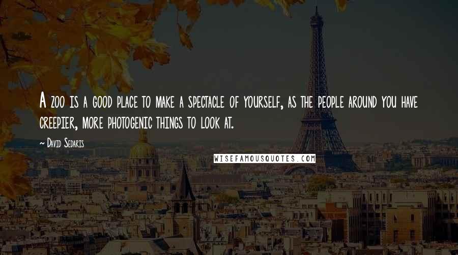 David Sedaris Quotes: A zoo is a good place to make a spectacle of yourself, as the people around you have creepier, more photogenic things to look at.