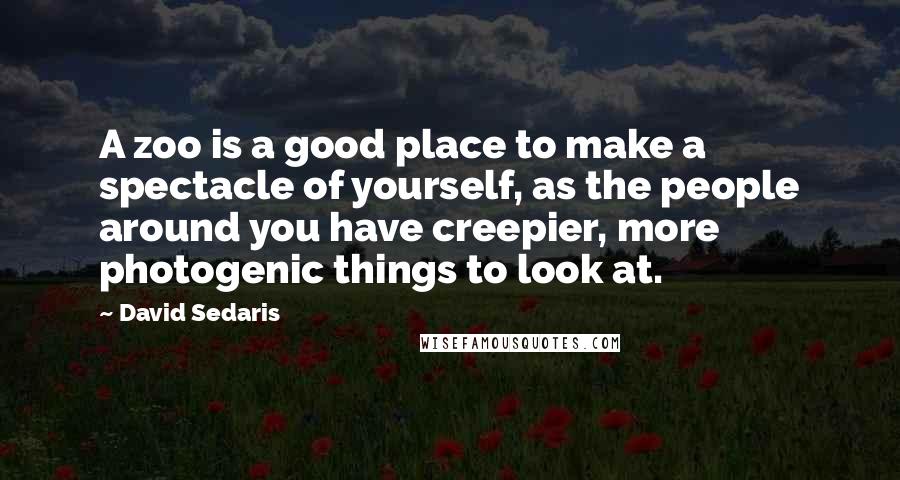 David Sedaris Quotes: A zoo is a good place to make a spectacle of yourself, as the people around you have creepier, more photogenic things to look at.