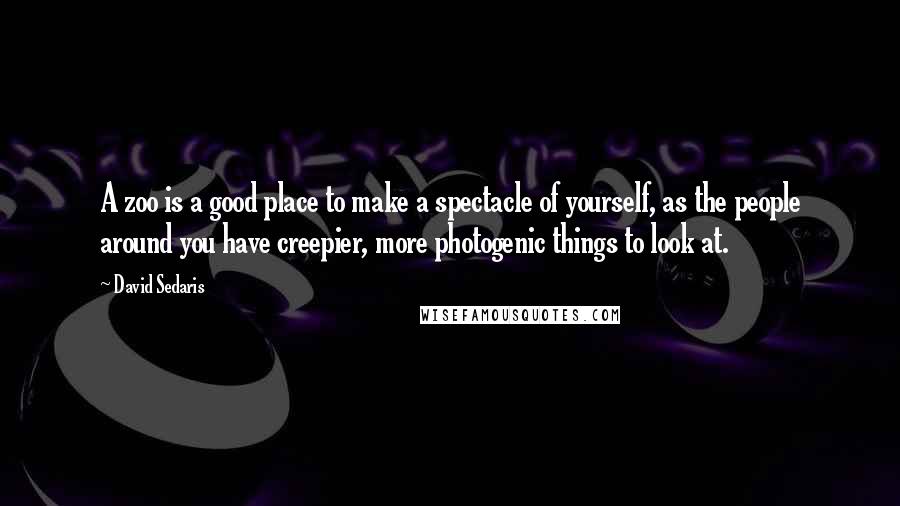 David Sedaris Quotes: A zoo is a good place to make a spectacle of yourself, as the people around you have creepier, more photogenic things to look at.