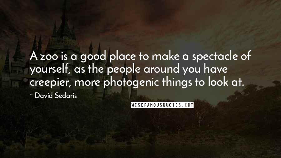 David Sedaris Quotes: A zoo is a good place to make a spectacle of yourself, as the people around you have creepier, more photogenic things to look at.