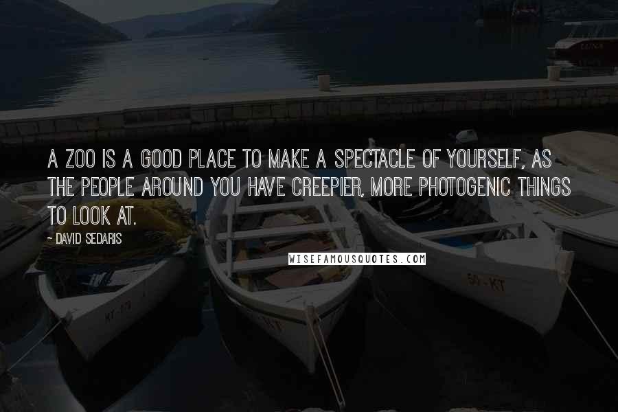 David Sedaris Quotes: A zoo is a good place to make a spectacle of yourself, as the people around you have creepier, more photogenic things to look at.