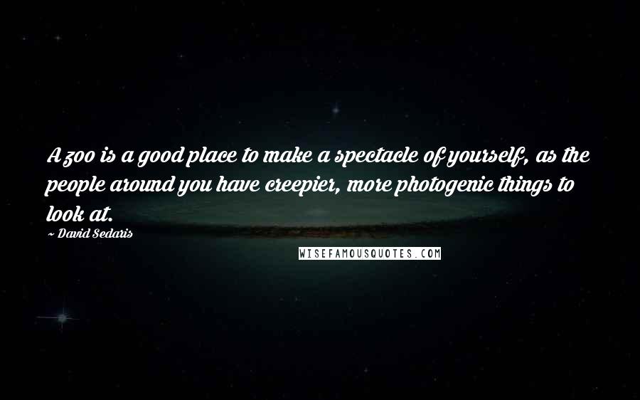 David Sedaris Quotes: A zoo is a good place to make a spectacle of yourself, as the people around you have creepier, more photogenic things to look at.