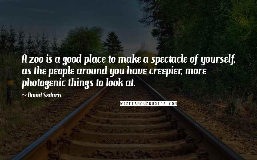 David Sedaris Quotes: A zoo is a good place to make a spectacle of yourself, as the people around you have creepier, more photogenic things to look at.