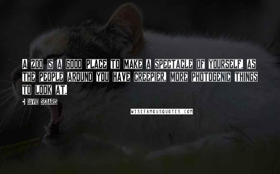 David Sedaris Quotes: A zoo is a good place to make a spectacle of yourself, as the people around you have creepier, more photogenic things to look at.