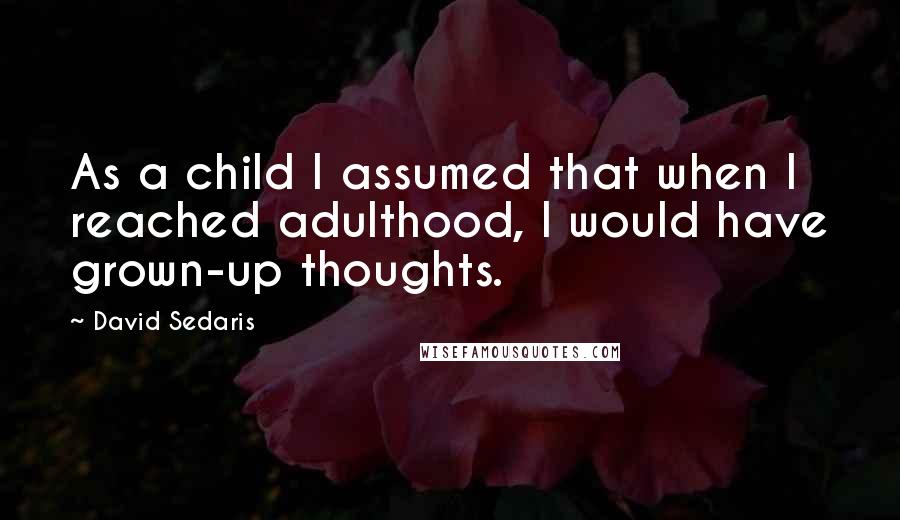 David Sedaris Quotes: As a child I assumed that when I reached adulthood, I would have grown-up thoughts.