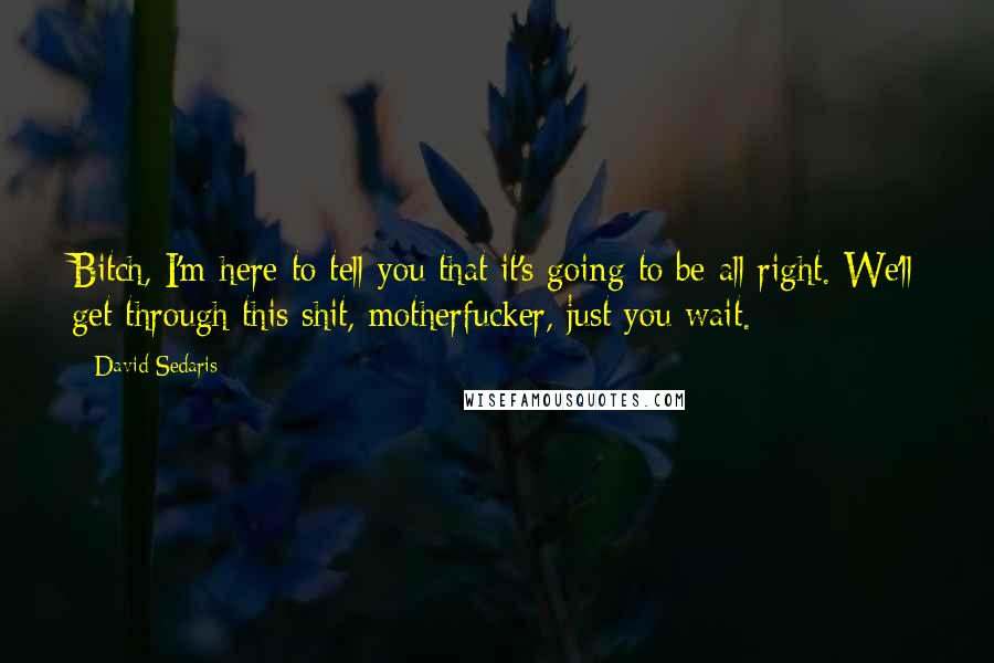David Sedaris Quotes: Bitch, I'm here to tell you that it's going to be all right. We'll get through this shit, motherfucker, just you wait.