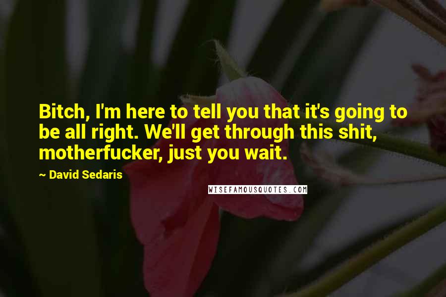 David Sedaris Quotes: Bitch, I'm here to tell you that it's going to be all right. We'll get through this shit, motherfucker, just you wait.