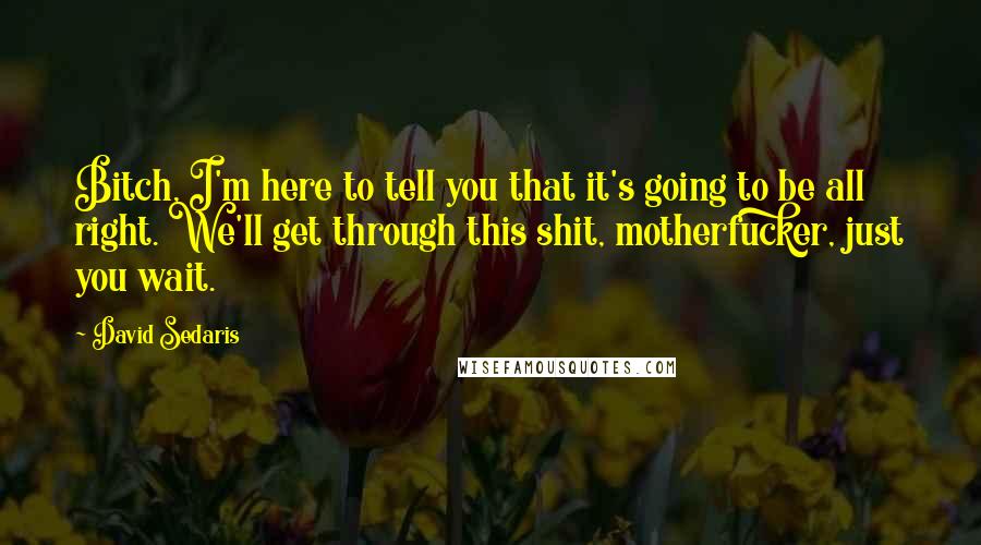 David Sedaris Quotes: Bitch, I'm here to tell you that it's going to be all right. We'll get through this shit, motherfucker, just you wait.