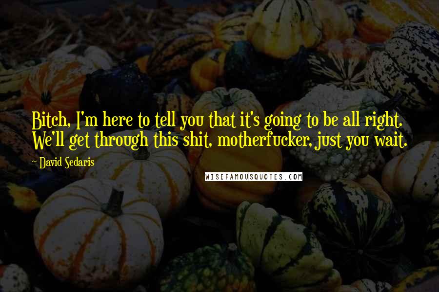 David Sedaris Quotes: Bitch, I'm here to tell you that it's going to be all right. We'll get through this shit, motherfucker, just you wait.