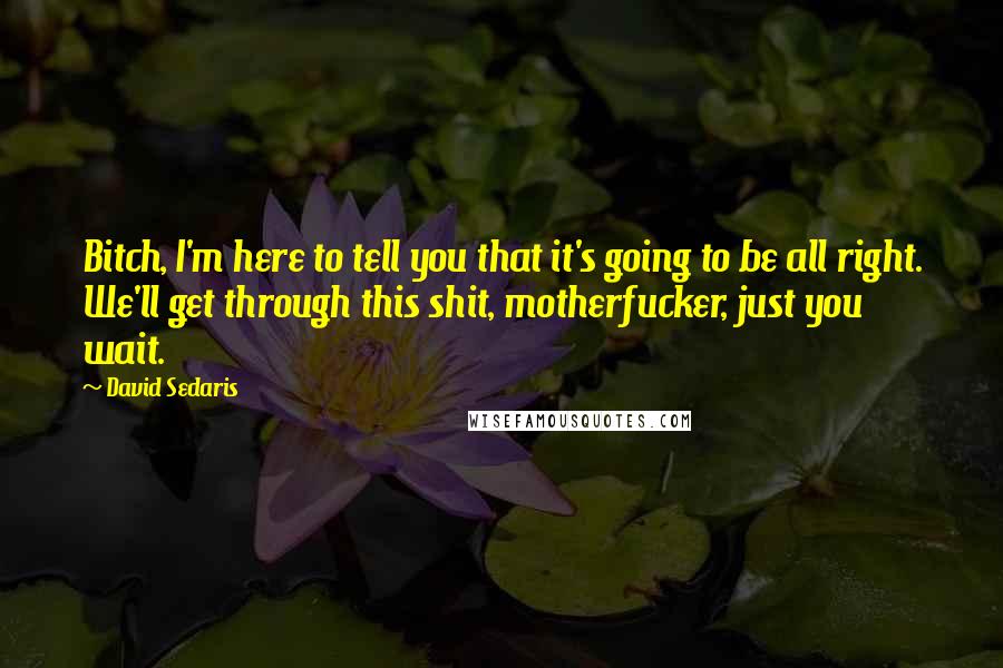 David Sedaris Quotes: Bitch, I'm here to tell you that it's going to be all right. We'll get through this shit, motherfucker, just you wait.