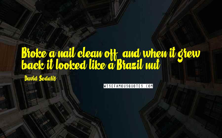 David Sedaris Quotes: Broke a nail clean off, and when it grew back it looked like a Brazil nut.