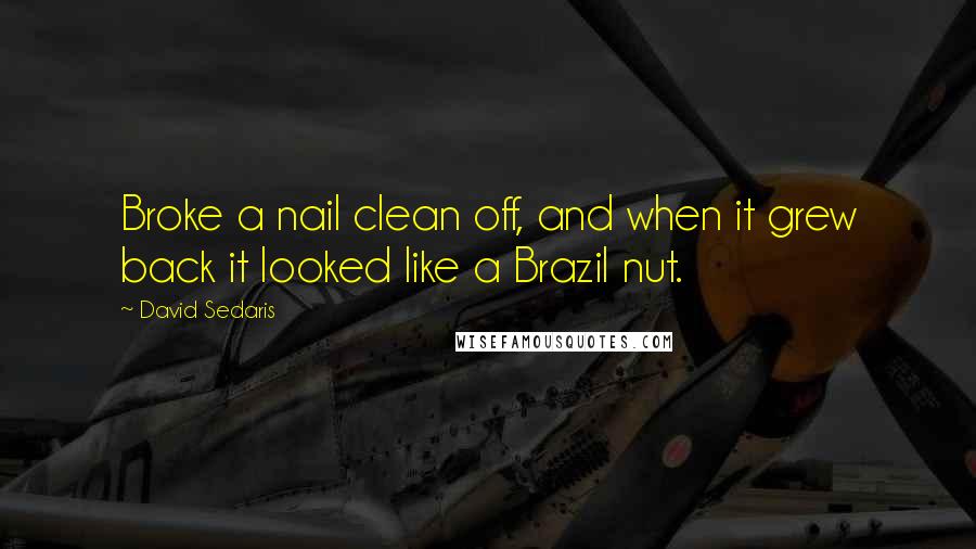 David Sedaris Quotes: Broke a nail clean off, and when it grew back it looked like a Brazil nut.