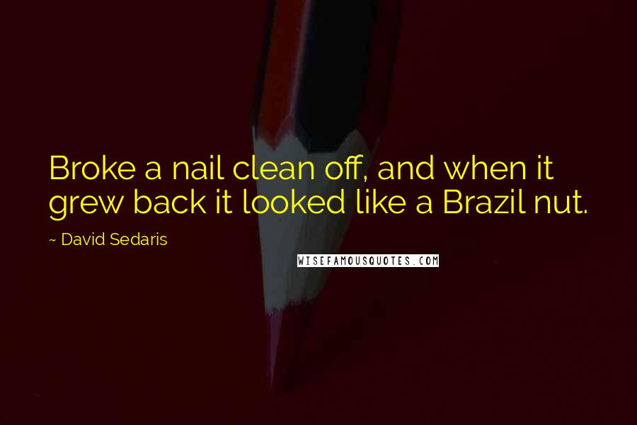 David Sedaris Quotes: Broke a nail clean off, and when it grew back it looked like a Brazil nut.