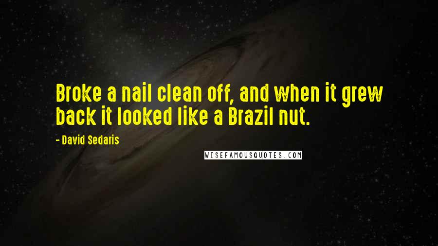 David Sedaris Quotes: Broke a nail clean off, and when it grew back it looked like a Brazil nut.