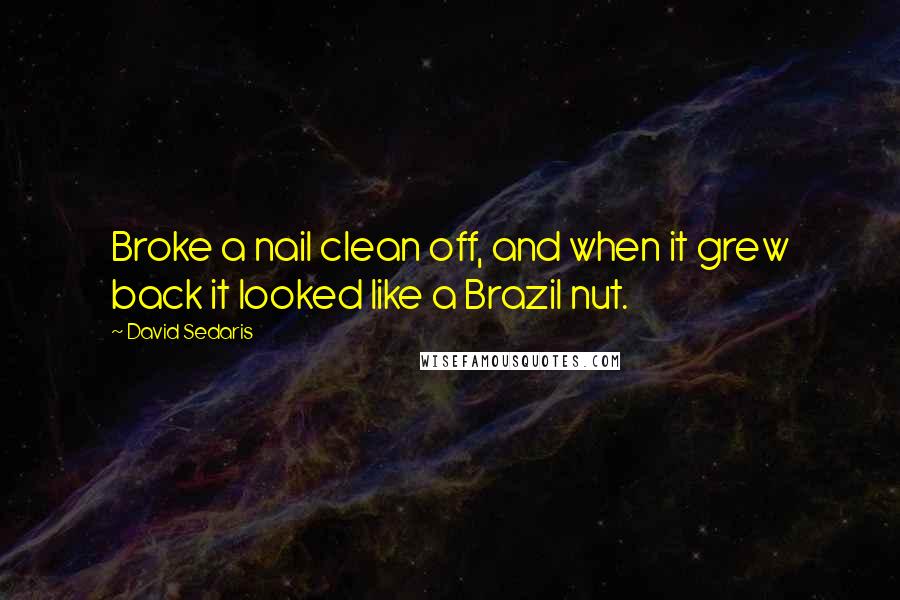David Sedaris Quotes: Broke a nail clean off, and when it grew back it looked like a Brazil nut.