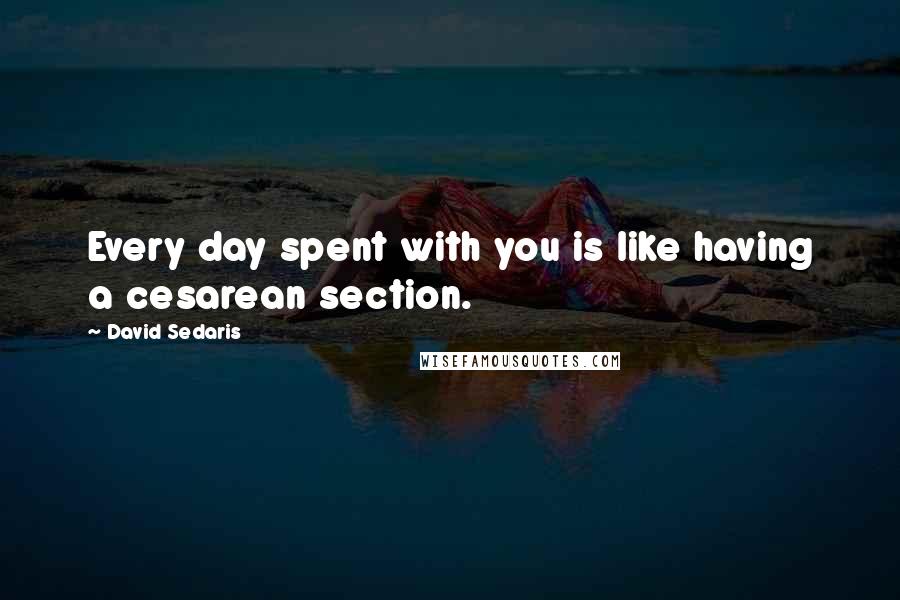 David Sedaris Quotes: Every day spent with you is like having a cesarean section.