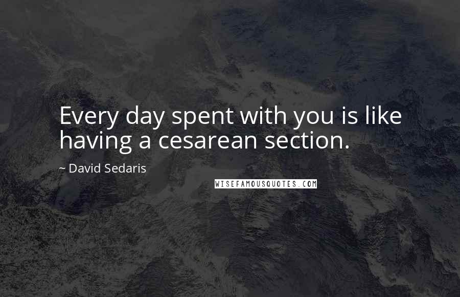 David Sedaris Quotes: Every day spent with you is like having a cesarean section.