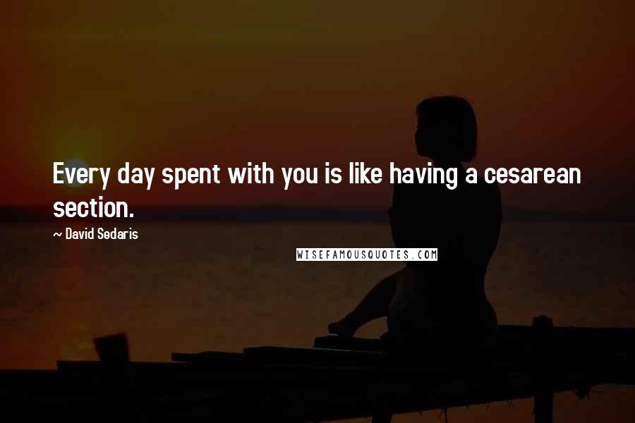 David Sedaris Quotes: Every day spent with you is like having a cesarean section.