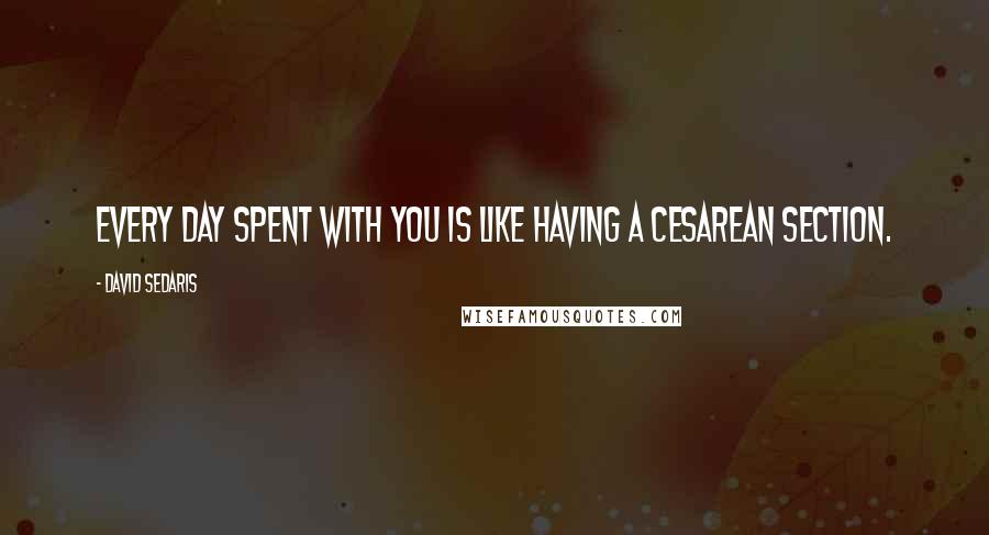 David Sedaris Quotes: Every day spent with you is like having a cesarean section.