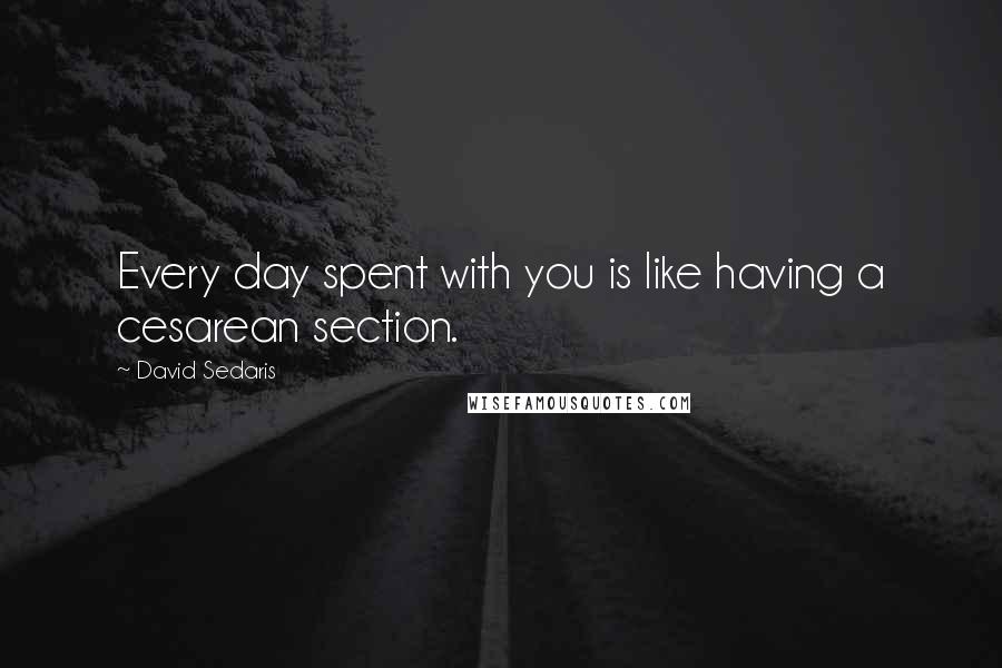 David Sedaris Quotes: Every day spent with you is like having a cesarean section.