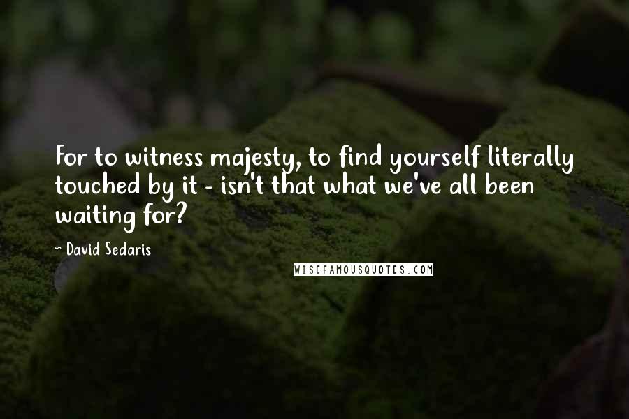 David Sedaris Quotes: For to witness majesty, to find yourself literally touched by it - isn't that what we've all been waiting for?