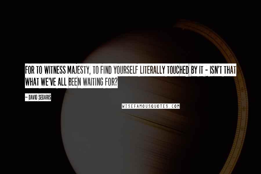 David Sedaris Quotes: For to witness majesty, to find yourself literally touched by it - isn't that what we've all been waiting for?