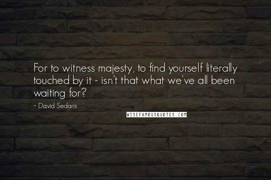 David Sedaris Quotes: For to witness majesty, to find yourself literally touched by it - isn't that what we've all been waiting for?