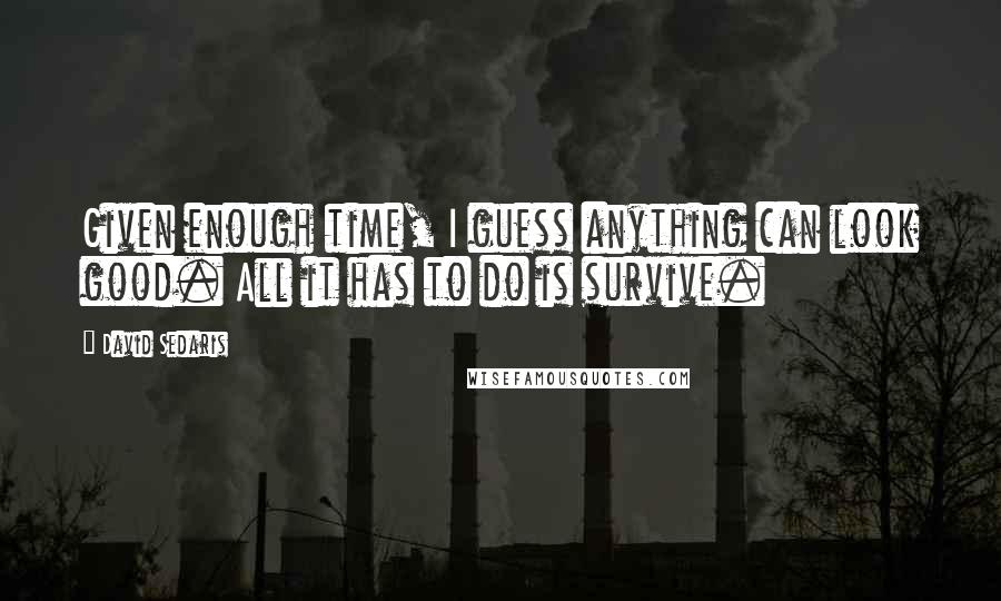 David Sedaris Quotes: Given enough time, I guess anything can look good. All it has to do is survive.