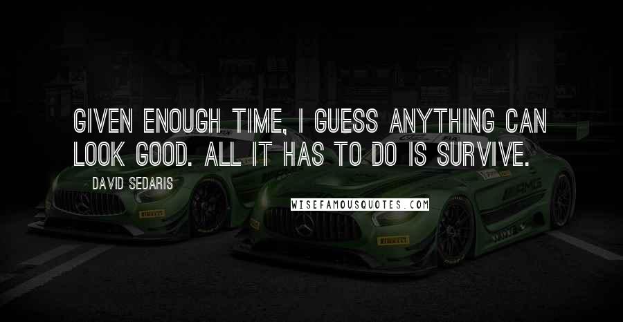 David Sedaris Quotes: Given enough time, I guess anything can look good. All it has to do is survive.