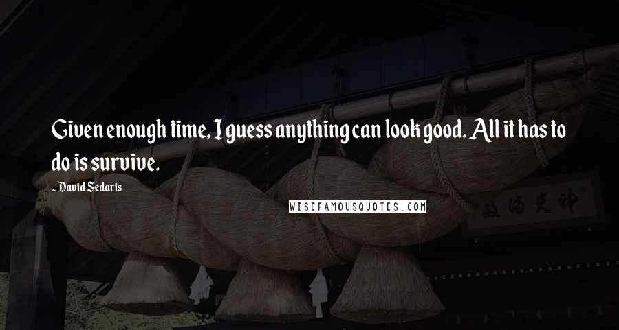 David Sedaris Quotes: Given enough time, I guess anything can look good. All it has to do is survive.