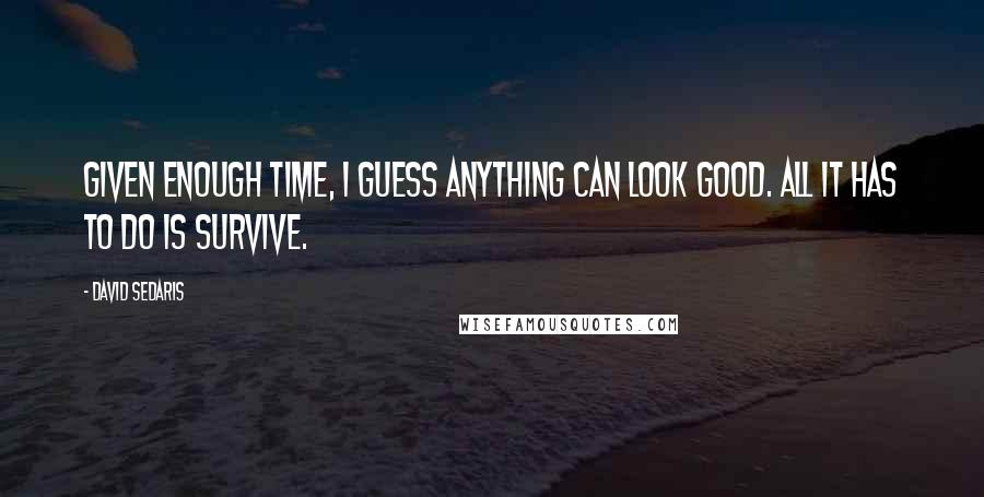 David Sedaris Quotes: Given enough time, I guess anything can look good. All it has to do is survive.