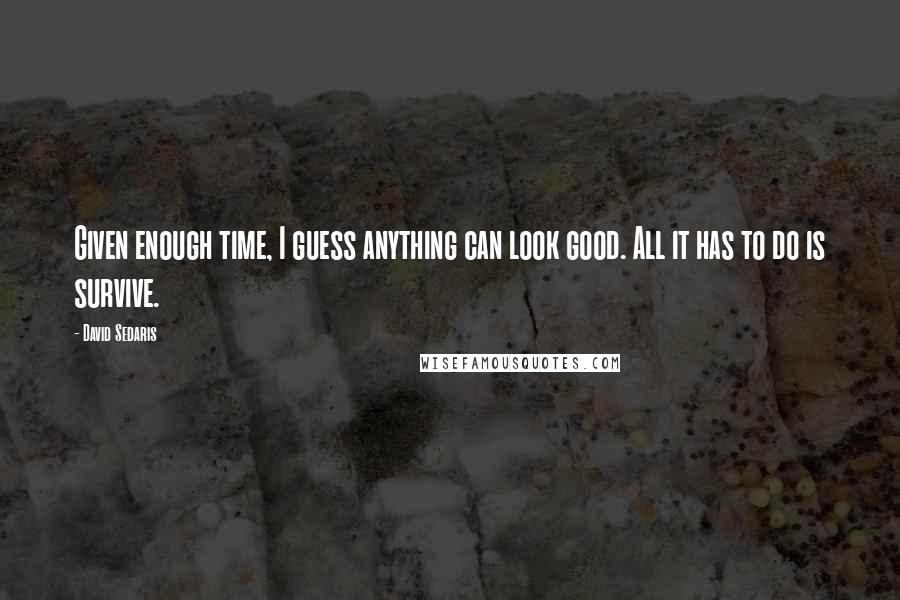 David Sedaris Quotes: Given enough time, I guess anything can look good. All it has to do is survive.