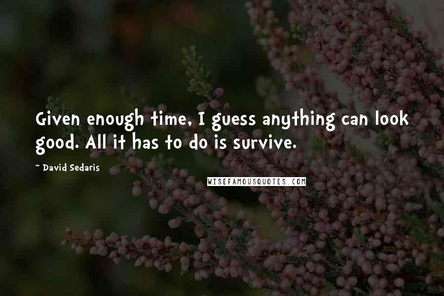 David Sedaris Quotes: Given enough time, I guess anything can look good. All it has to do is survive.