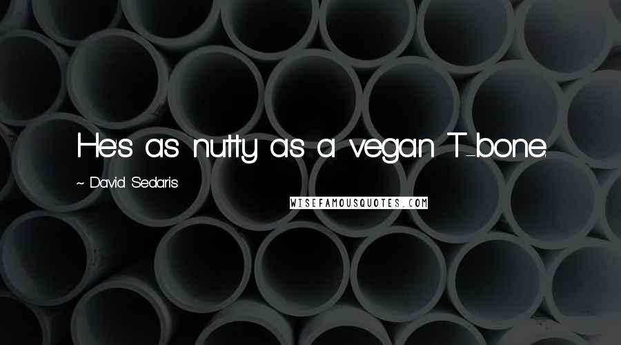 David Sedaris Quotes: He's as nutty as a vegan T-bone.