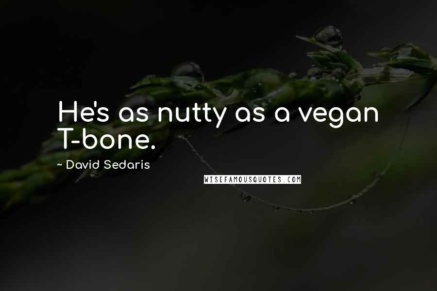 David Sedaris Quotes: He's as nutty as a vegan T-bone.